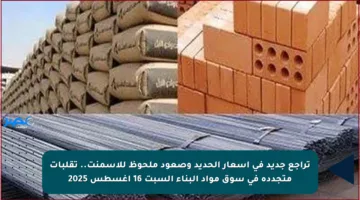 تراجع جديد في أسعار الحديد وصعود ملحوظ للأسمنت.. تقلبات متجددة في سوق مواد البناء السبت 16 أغسطس 2025